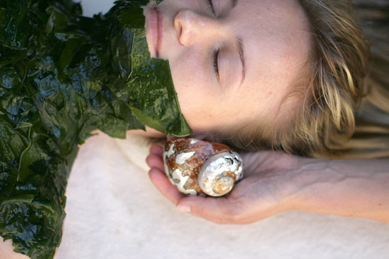 ../data/Kurland/thalasso_mussel1.jpg ../data/Kurland/thalasso_mussel1.jpg